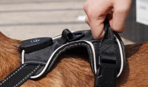 Dog GPS LED Light Positioner Chest Strap