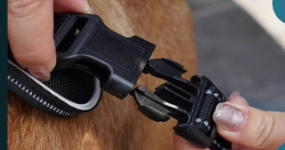 Dog GPS LED Light Positioner Chest Strap