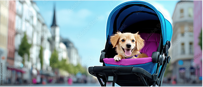 Pet Strollers