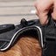 Dog GPS LED Light Positioner Chest Strap