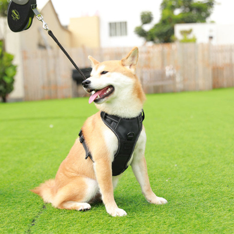 Dog GPS LED Light Positioner Chest Strap